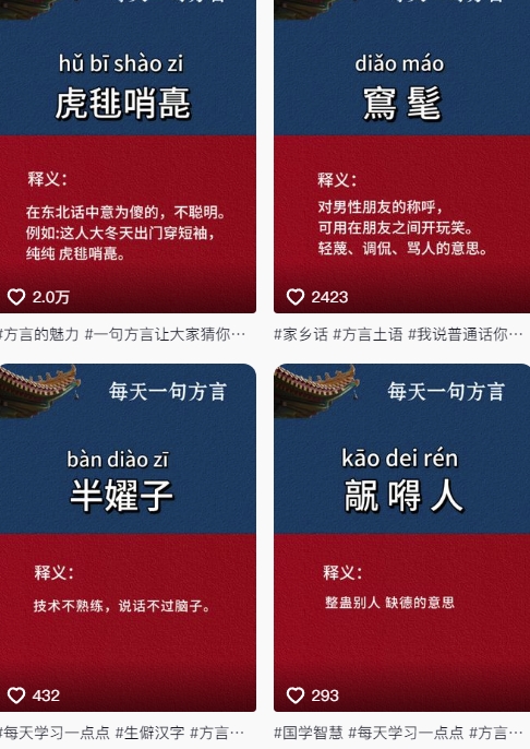 抖音最新涨粉玩法，图文方言暴力涨粉实操，126作品涨粉11W-网创先锋