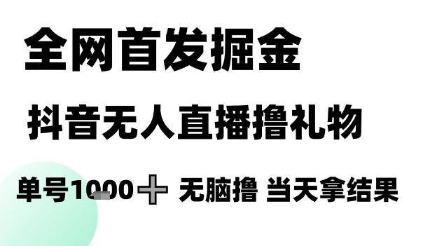 全网首发掘金抖音无人直播撸礼物，单号1k +无脑撸，当天拿结果【揭秘】-网创先锋