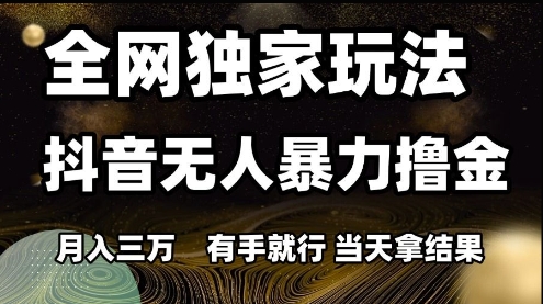 全网独家玩法抖音无人暴力撸金，月入3W，有手就行，当天拿结果【揭秘】-网创先锋
