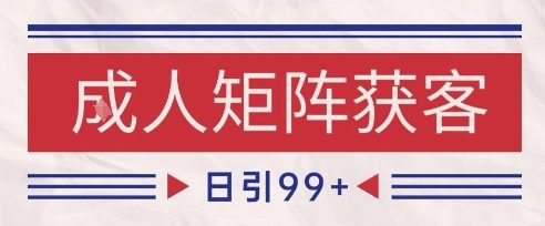 小红书某音橙人赛道引流获客，自热矩阵日引200+【揭秘】-网创先锋