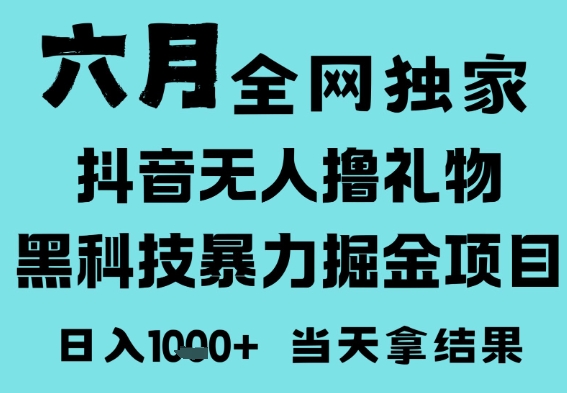 25年6月高爆抖音无人直播最新撸音浪掘金项目，门槛低小白可做，无脑日入1k，可矩阵放大【揭秘】-网创先锋