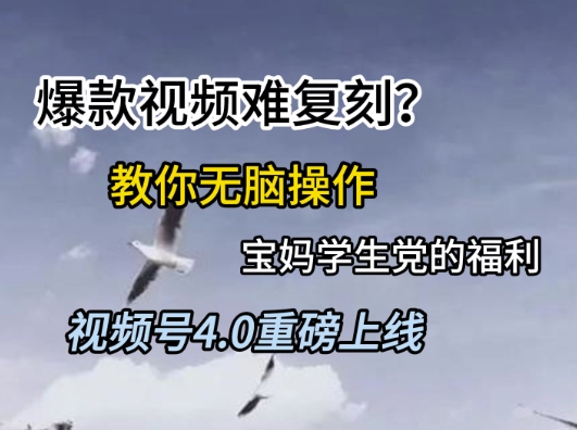 视频号4.0重磅上线，爆款视频难复刻？教你无脑操作宝妈学生党的福利【揭秘】-网创先锋