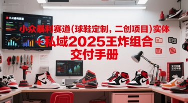 小众暴利赛道(球鞋定制，二创项目)实体+私域2025王炸组合  交付手册-网创先锋