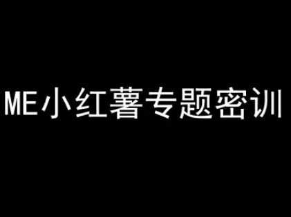 ME小红薯专题密训-小红书电商教程-网创先锋