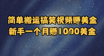 简单搬运搞笑视频挣美金，新手一个月入1k美金-网创先锋