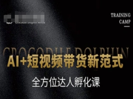 AI+短视频带货新范式，全方位达人孵化课-网创先锋