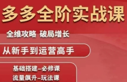 拼多多全阶实战课程，全维攻略，破局增长，从新手到运营高手-网创先锋