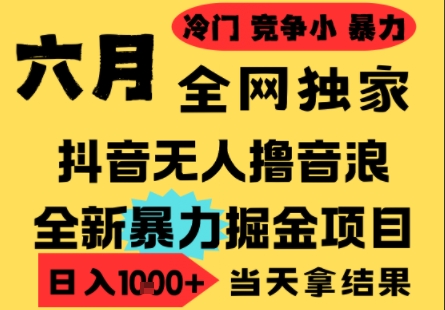 25年6月高爆抖音无人直播最新撸音浪掘金项目，小白可做，无脑日入1k+，门槛低可批量矩阵【揭秘】-网创先锋