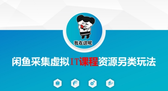 闲鱼采集虚拟IT课程资源另类玩法，干货满满-网创先锋