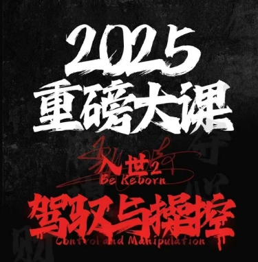 2025重磅大课，入世2，驾驭与控制-网创先锋