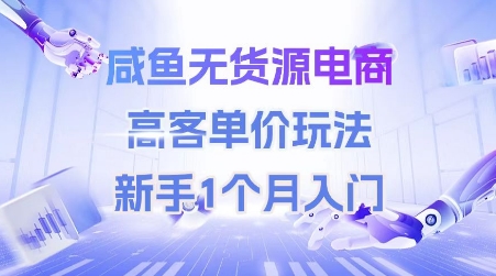 咸鱼无货源电商，高客单价玩法，新手1个月入门-网创先锋