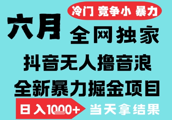 2025年6月高爆抖音无人直播最新撸音浪掘金项目，无脑日入1k+，低门槛小白可做，可矩阵放大【揭秘】-网创先锋