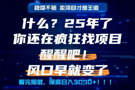 什么？25年你还在疯狂找项目做，醒醒吧，看完这些你全都懂了！【揭秘】-网创先锋
