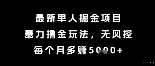 最新单人掘金项目，暴力撸金玩法，无风控，每个月多挣5k+【揭秘】-网创先锋
