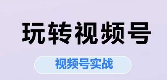 玩转视频号，视频号实战系列课-网创先锋