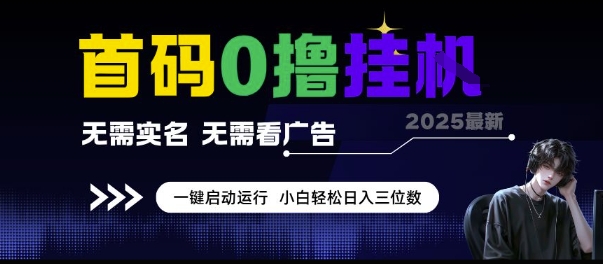 首码0撸挂G项目，无需实名无需看广告 一键启动运行，小白轻松日入三位数【揭秘】-网创先锋