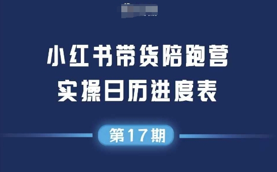 小红书第17期带货陪跑营，不囤货，无不直播，无不投流，通过选品+笔记内容+测品+笔记铺量+矩阵运营打爆款-网创先锋