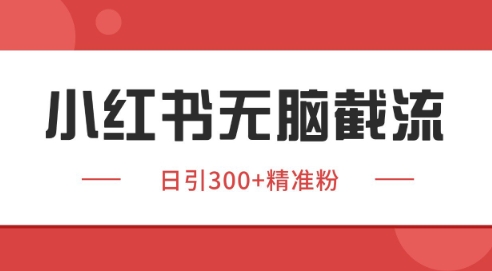 小红书截流同行客源，独家野路子获客玩法 日引200+暴力获客【揭秘】-网创先锋