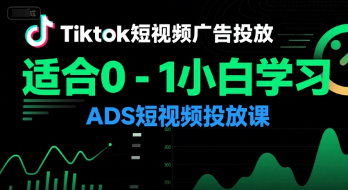 Tiktok短视频广告投放，适合0-1小白学习ADS短视频投放课-网创先锋