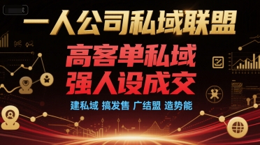 一人公司私域联盟，高客单私域，强人设成交，建私域 搞发售 广结盟 造势能-网创先锋