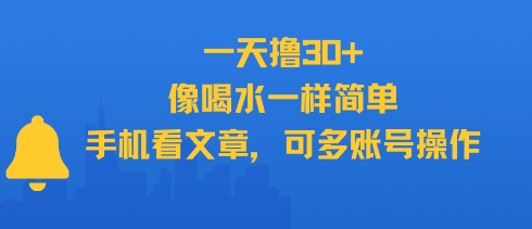 一天撸30+，像喝水一样简单，手机看文章，可多账号操作-网创先锋