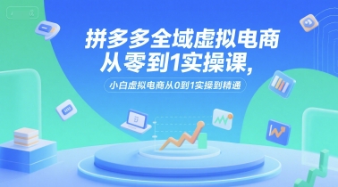 拼多多全域虚拟电商从零到1实操课，小白虚拟电商从0到1实操到精通-网创先锋