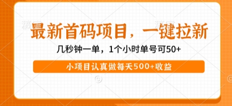 最新首码项目，操作最简单，收益高，一键拉新，1个小时单号可50+，小项目认真做每天5张+收益【揭秘】-网创先锋