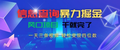 信息查询暴力掘金，一天三条视频，轻松变现四位数，风口项目干就完了【揭秘】-网创先锋