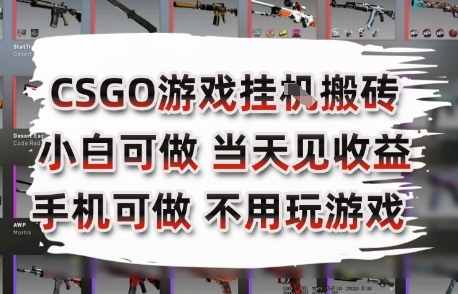 CSGO游戏挂G搬砖，小白纯手机即可操作，不用电脑打游戏，日入3张+，副业网创项目【揭秘】-网创先锋