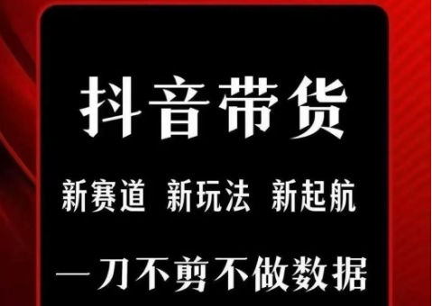 抖音短视频一刀不剪带货，不剪辑，不直播，每天发个视频，等着出单获取带货佣金-网创先锋