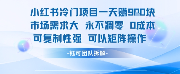 小红书冷门项目一天收益9张，市场需求大，0成本，可复制性强可以矩阵操作-网创先锋