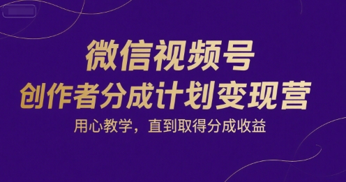 微信视频号创作者分成计划变现营，用心教学，直到取得分成收益-网创先锋