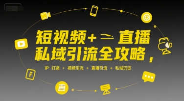 短视频+直播私域引流全攻略，IP打造 +视频引流 +直播引流 +私域沉淀-网创先锋