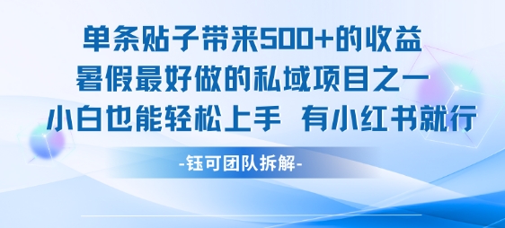 单条贴子带来5张的收益，暑假最好做的私域项目之一，小白也能轻松上手，有小红书就行-网创先锋