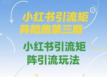 小红书引流矩阵陪跑第三期，小红书引流矩阵引流玩法-网创先锋