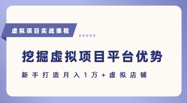 抓住虚拟项目各平台优势，新手轻松月入1W+(给出具体建议)-网创先锋