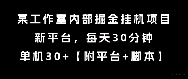 某工作室内部掘金挂G项目，新平台，每天30分钟，单机30+【揭秘】-网创先锋
