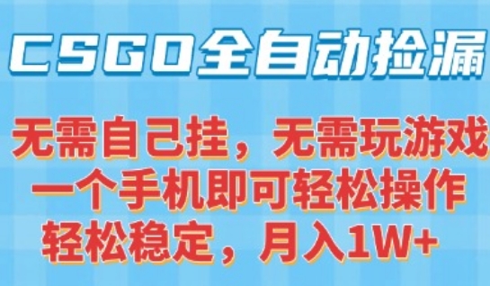 CSGO自动捡漏项目，最新独家玩法，一个手机可操作，新手小白轻松月入1W+，操作简单易上手【揭秘】-网创先锋