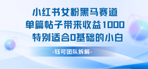 小红书女粉黑马赛道单篇帖子带来收益1k+，特别适合0基础的小白-网创先锋