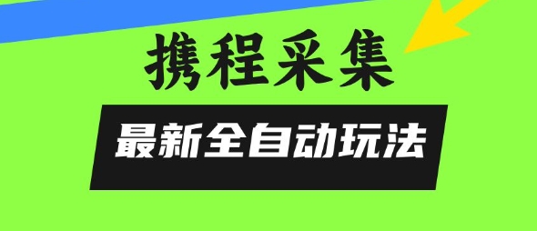 携程信息采集全自动玩法，0风控，无脑开干【揭秘】-网创先锋