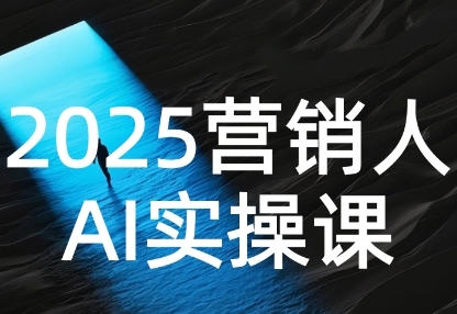 2025营销人Al实操课，AI营销抢跑实战，从Prompt到方案，效率碾压同行-网创先锋