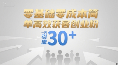 零基础零成本简单高效获客创业粉，一天引流30+-网创先锋