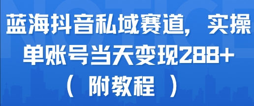 蓝海抖音私域赛道，实操单账号当天变现288+(附教程)-网创先锋