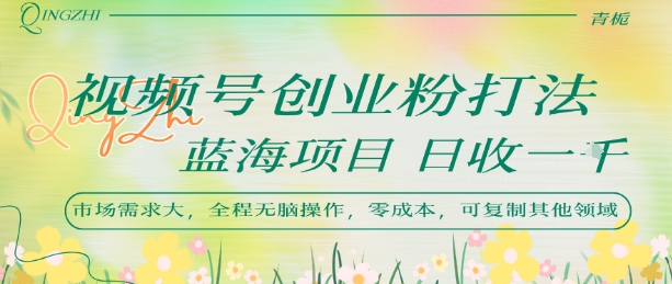 视频号创业粉打法，日入1k，蓝海项目，市场需求大，全程无脑操作，可复制-网创先锋