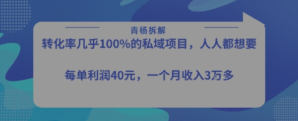 转化率最高的私域项目，每单利润40-50米，月入过1w-网创先锋