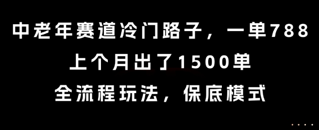 中老年赛道冷门路子，一单788，上个月出了1500单，全流程玩法，保底模式【揭秘】-网创先锋