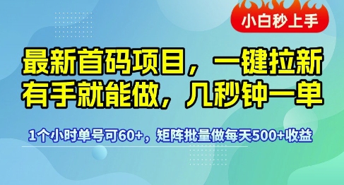 最新首码项目，一键拉新有手就能做，几秒钟一单，1个小时单号可60+，矩阵批量做每天5张【揭秘】-网创先锋