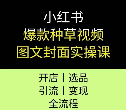 小红书爆款种草视频图文封面实操课，开店、选品、引流、变现全流程-网创先锋