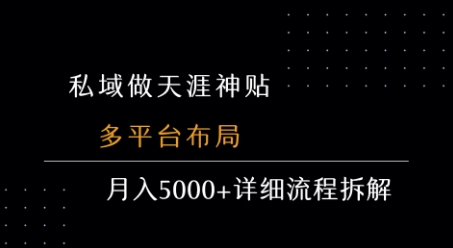 私域做天涯神贴 多平台布局 月入5k+详细流程拆解-网创先锋