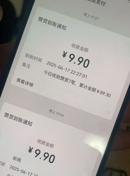二次元男粉快速变现项目，私域卖虚拟产品，百分利润-网创先锋